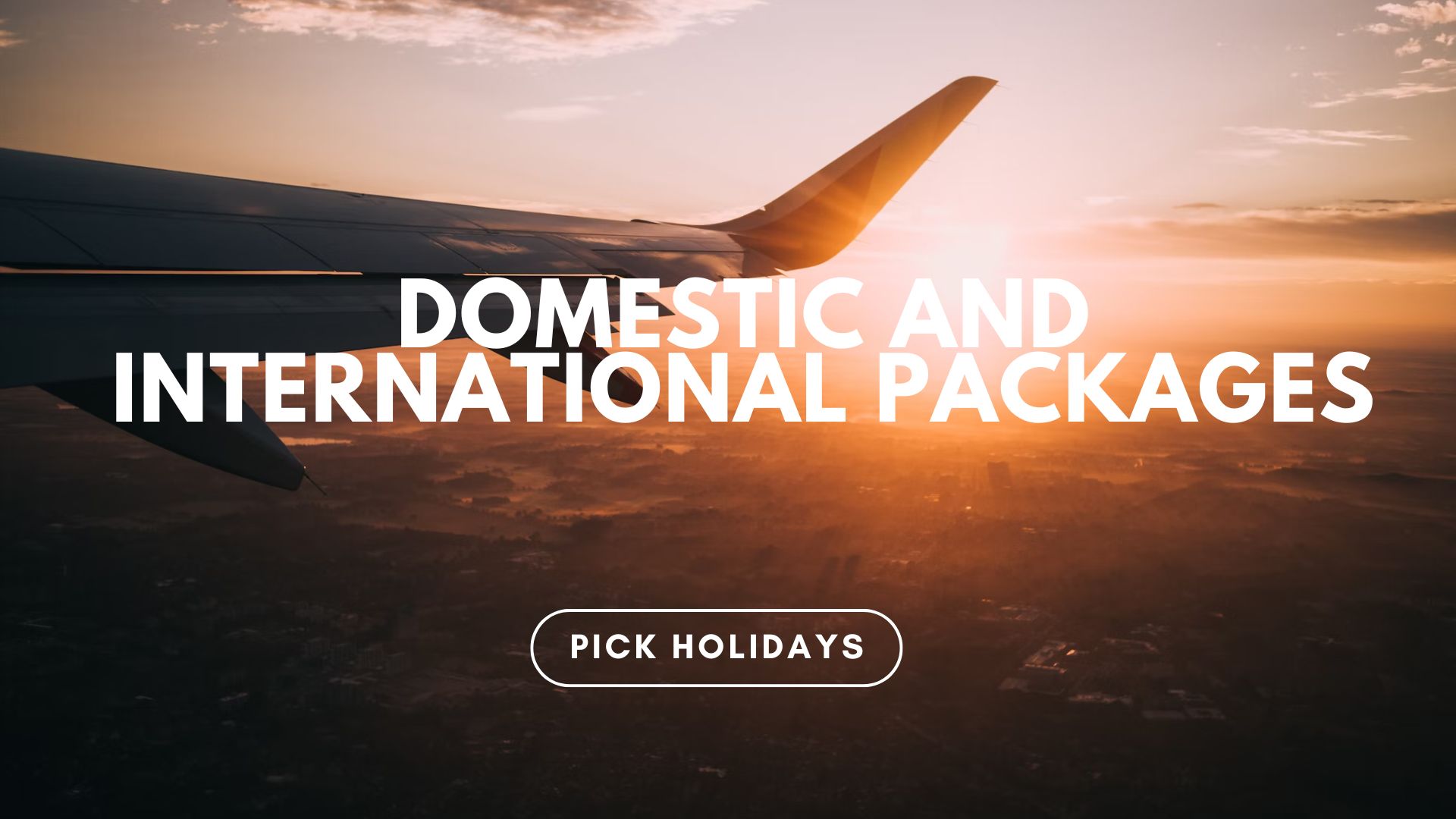 Domestic and International Packages